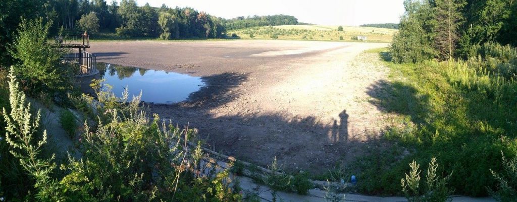 Став біля Тернополя перетворився у болото (ФОТО)