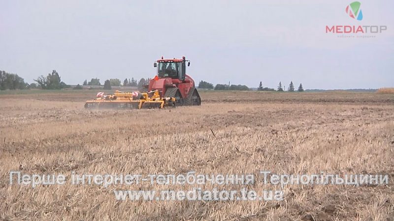 Маючи в руках дві печатки, чоловік на Тернопільщині заробив собі на кримінал (ВІДЕО)