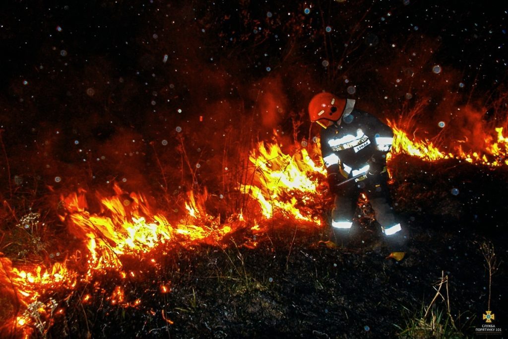 У Тернополі в парку сталася пожежа (ФОТО)