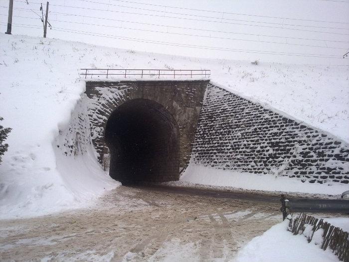 міст Плугів