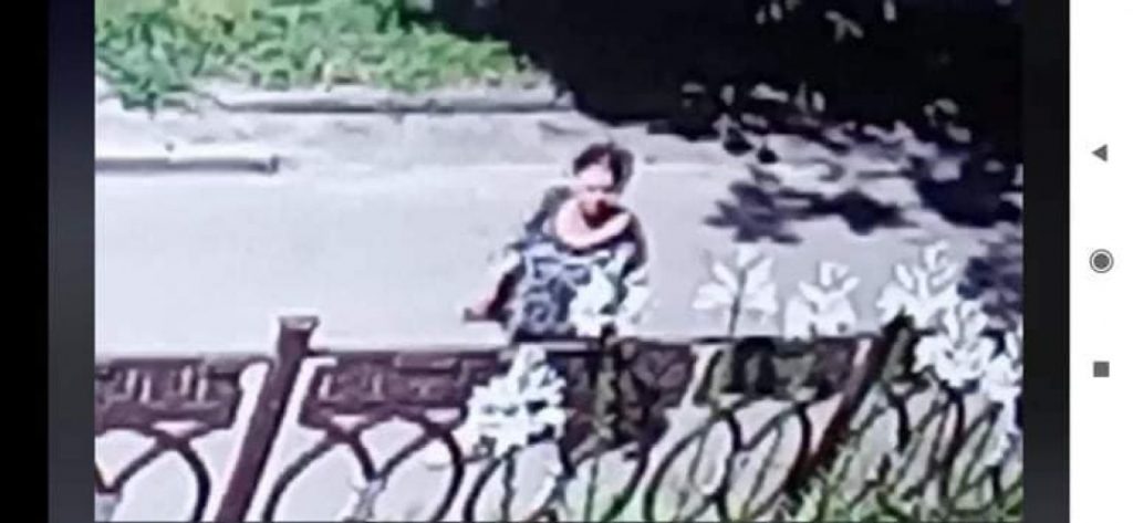 новини Тернополя, жінка краде квіти з клумби