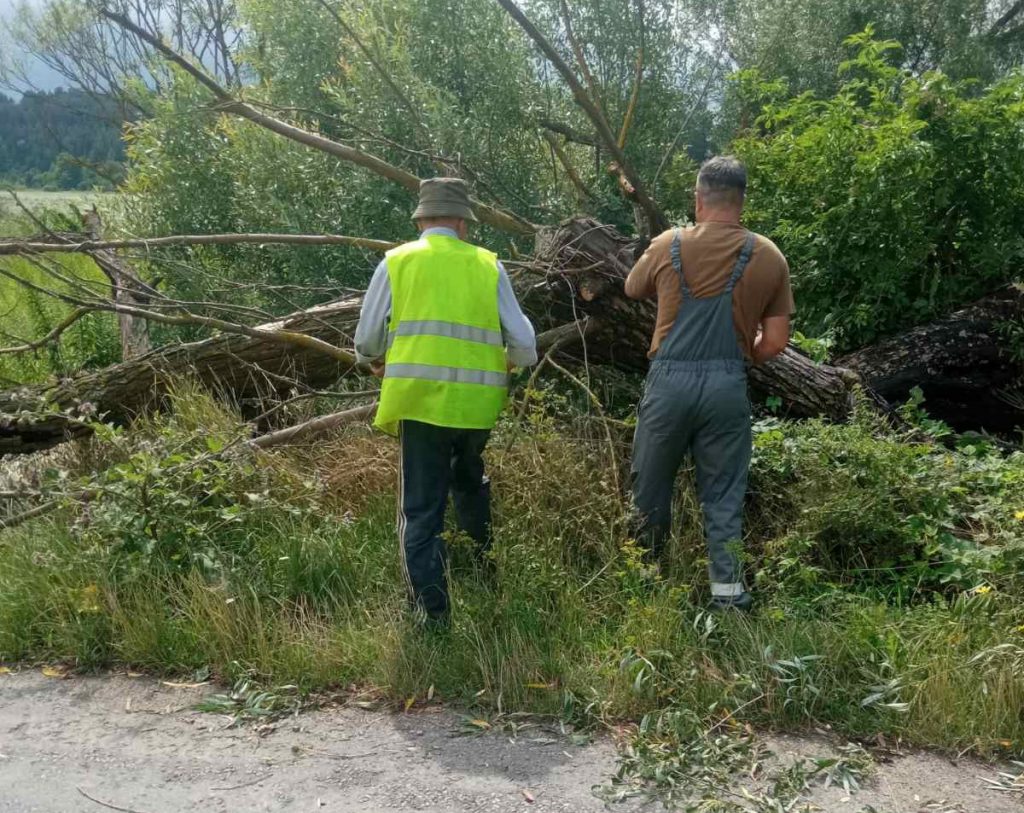 повалені дерева на Тернопільщині
