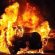 Вночі у Тернополі згорів автомобіль “Kia Sorento”