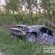 <strong>На Тернопільщині внаслідок зіткнення з деревом загинув водій легкового автомобіля</strong>