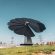 У Тернополі встановили інноваційну сонячну енергетичну систему SmartFlower (ФОТО)