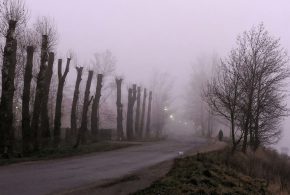 Погода на Тернопільщині у вихідні: мороз та без опадів