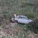 <strong>На Тернопільщині внаслідок ДТП загинув 45-річний водій “Жигулів”</strong>