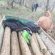 У лісах Тернопільщини спіймали чоловіків, які намагалися вкрасти три фіри дров