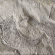 Тернополянин намагався відправити за кордон скам’янілості віком 400 млн років