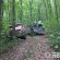 У Більче-Золотецькому лісництві водій “Жигулів” заїхав у дерево і загинув