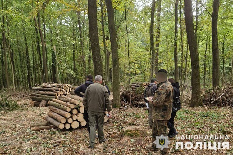 На Тернопільщині судитимуть недбалого лісника, у якого зрубали майже 70 дерев