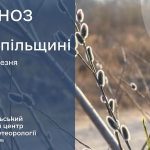 До 20° тепла: прогноз погоди у Тернополі на 11 березня