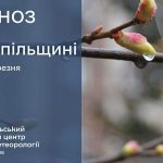 Хмарно з проясненнями: прогноз погоди у Тернополі на 12 березня