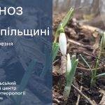 До 18° тепла: прогноз погоди у Тернополі на 13 березня