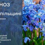 До 16° тепла: прогноз погоди у Тернополі на 14 березня