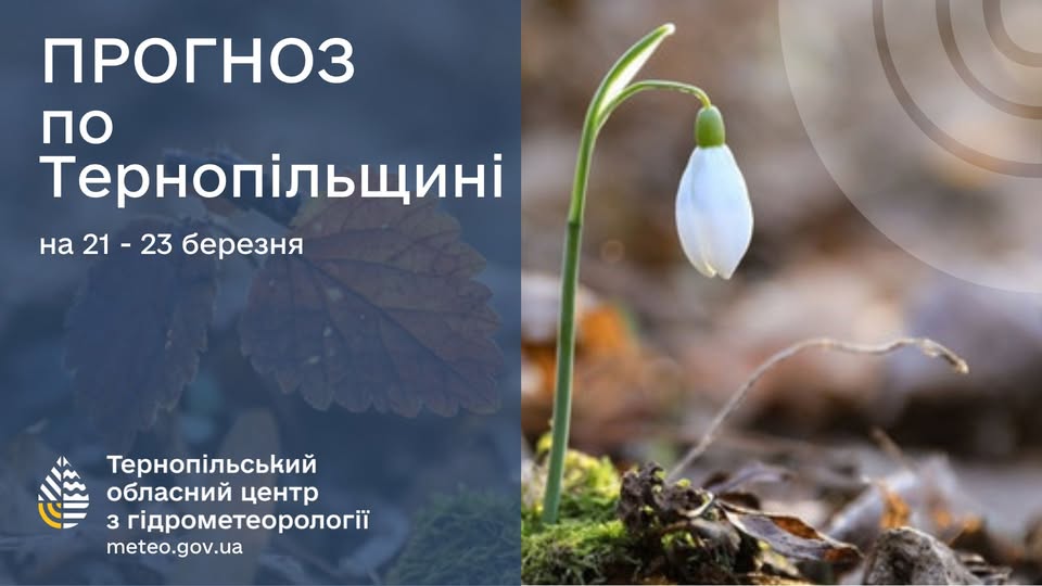 Тепло і без опадів: прогноз погоди у Тернополі на 21 березня