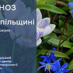 До 16° тепла: прогноз погоди у Тернополі на 22 березня