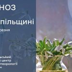 Невеликі дощі: прогноз погоди у Тернополі на 23 березня