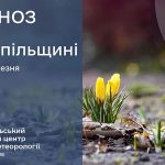 До 14° тепла: прогноз погоди у Тернополі на 25 березня