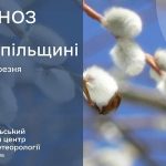 До 19° тепла: прогноз погоди у Тернополі на 9 березня