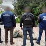 кримінальні новини