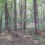 На Кременеччині знайшли мертвим чоловіка, який зник кілька днів тому