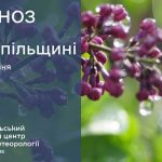 погода травень