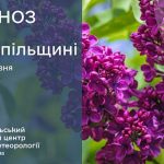погода травень