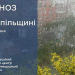 Очікуються дощі: прогноз погоди у Тернополі на 17 травня