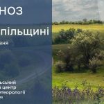 До 22° тепла: прогноз погоди у Тернополі на 21 травня