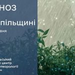 Дощі та грози: прогноз погоди у Тернополі на 23 травня