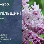 погода травень