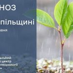 Часом дощі: прогноз погоди у Тернополі на 6 травня