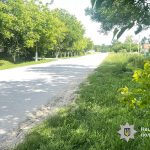 У Почаєві водій “Тойоти” збив 82-річну жінку і втік з місця аварії