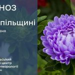 Без опадів: прогноз погоди у Тернополі на 12 червня