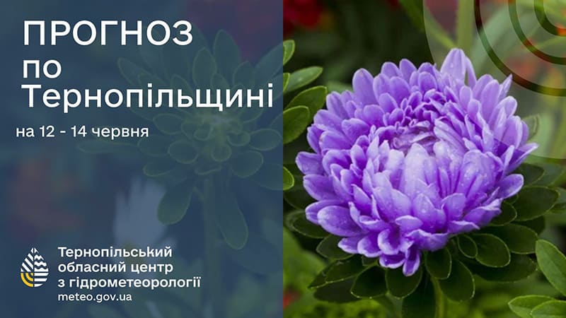 Без опадів: прогноз погоди у Тернополі на 12 червня