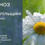 До 28° тепла: прогноз погоди у Тернополі на 2 червня