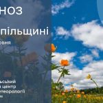До 26° тепла: прогноз погоди у Тернополі на 4 червня