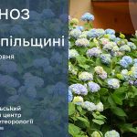 До 31° тепла: прогноз погоди у Тернополі на 6 червня