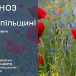 До 32° тепла: прогноз погоди у Тернополі на 7 червня