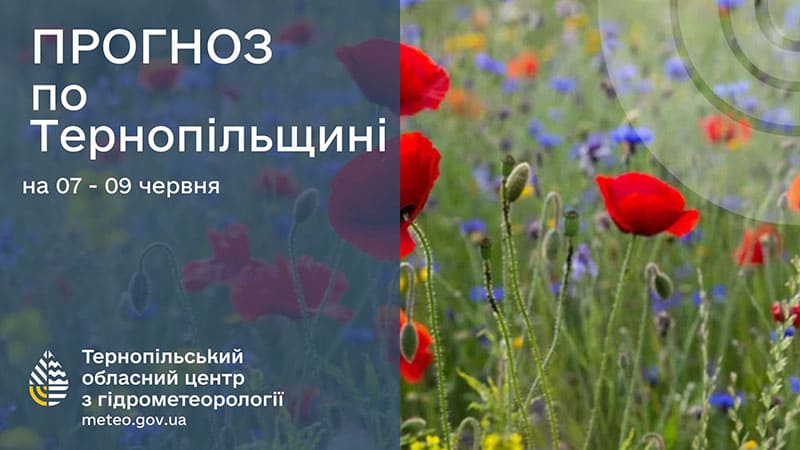 До 32° тепла: прогноз погоди у Тернополі на 7 червня
