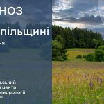 Хмарно і без опадів: прогноз погоди у Тернополі на 11 липня