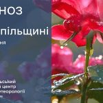 погода липень
