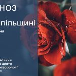Короткочасні дощі: прогноз погоди у Тернополі на 15 липня