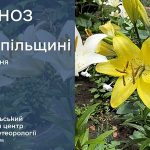 погода липень