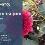 До 30° тепла: прогноз погоди у Тернополі на 25 липня