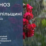 Дощі та грози: прогноз погоди у Тернополі на 28 липня