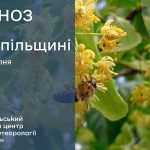 погода липень