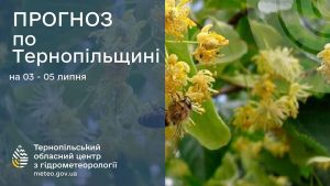 погода липень
