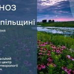 До 27° тепла: прогноз погоди у Тернополі на 5 липня